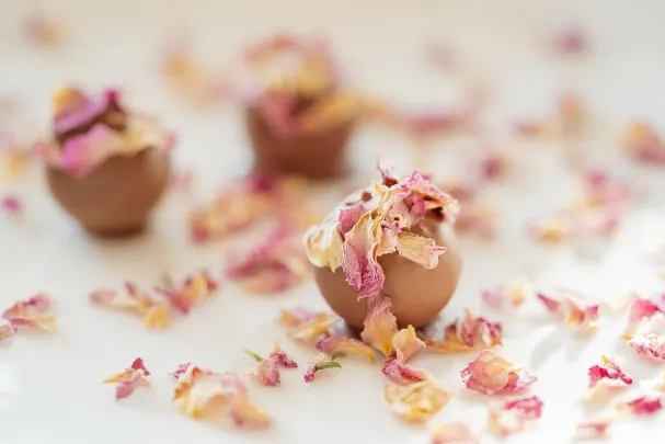 Casino Paradise Win Android/iOS aplikacija